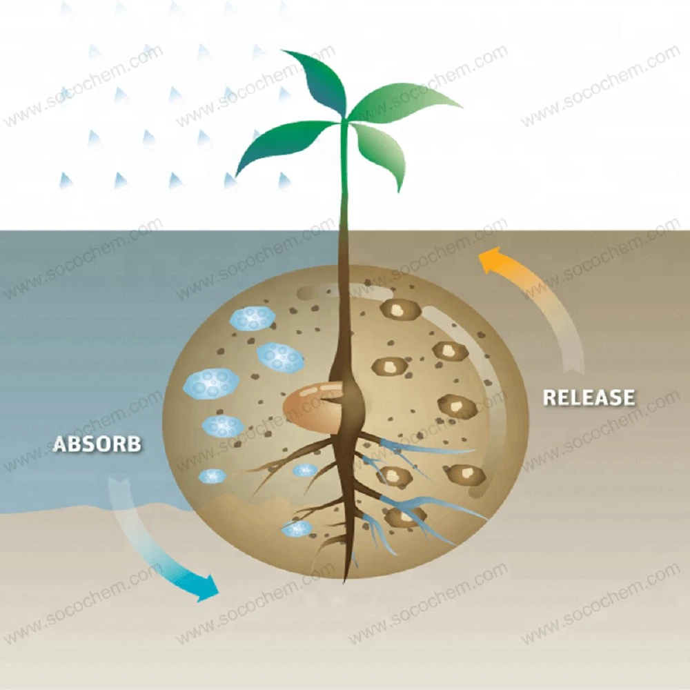 Agricultural Potassium Polyacrylate Passed Heavy Metal Test Report Super Absorbent Polymer for Sugar Cane Wheat Oats