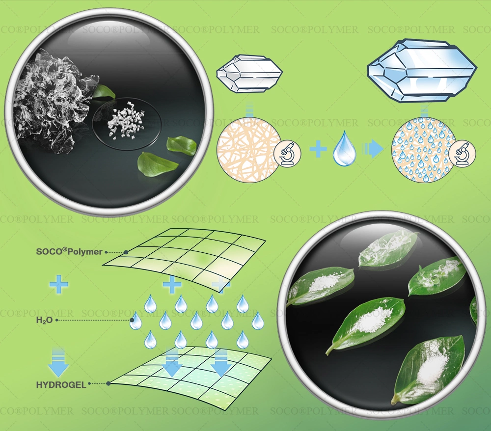 Water Absorbing Crystals Super Absorbent Polymer for Plants